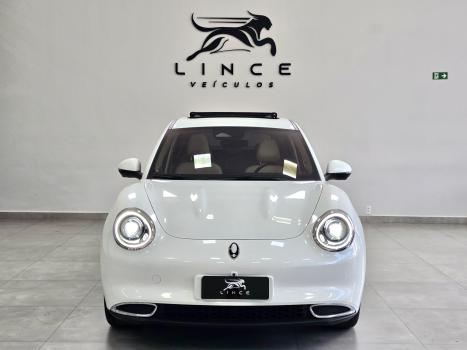 GWM Ora 03 48 KW EL�TRICO SKIN, Foto 2