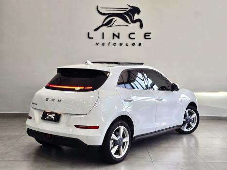 GWM Ora 03 48 KW EL�TRICO SKIN, Foto 5