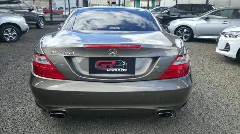 MERCEDES-BENZ SLK 250 1.8 16V CGI TURBO 2.3 AUTOM�TICO, Foto 9