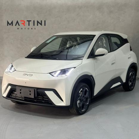 BYD Dolphin 44,9 KW EL�TRICO GS, Foto 1