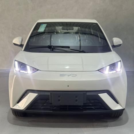 BYD Dolphin 44,9 KW EL�TRICO GS, Foto 2
