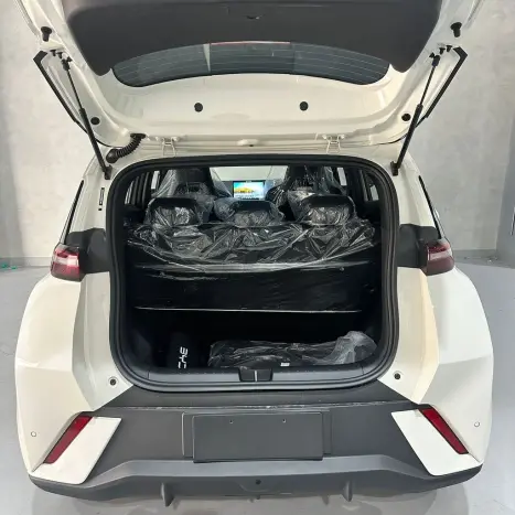 BYD Dolphin 44,9 KW EL�TRICO GS, Foto 26