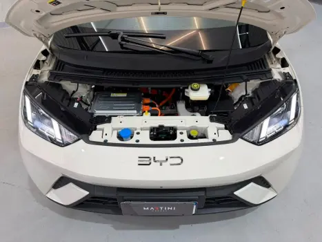 BYD Dolphin 44,9 KW EL�TRICO GS, Foto 18