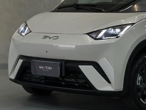 BYD Dolphin 44,9 KW ELÉTRICO GS, Foto 2