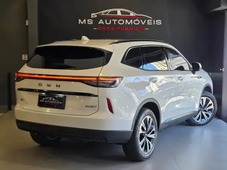 GWM Haval H6 1.5 16V 4P PHEV PREMIUM AWD E-TRACTION AUTOM�TICO, Foto 15
