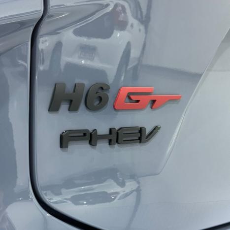 GWM Haval H6 GT 1.5 PHEV AWD E-TRACTION AUTOMÁTICO, Foto 8 GWM Haval H6 GT 1.5 PHEV AWD E-TRACTION AUTOMÁTICO, Foto 8
