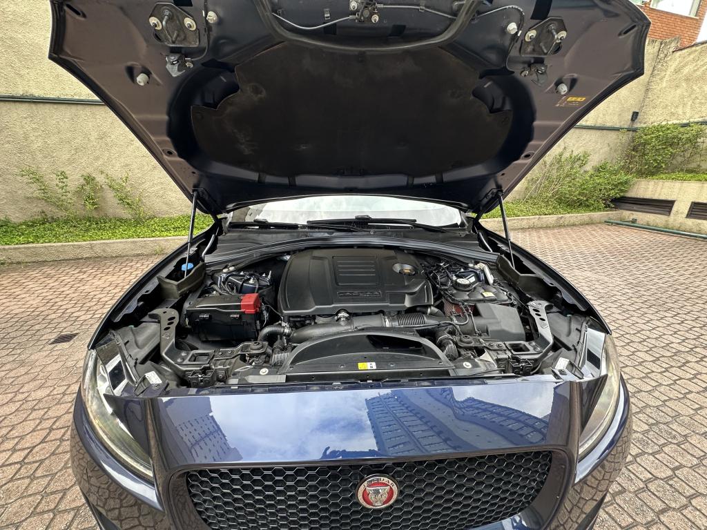 JAGUAR F-Pace - Foto