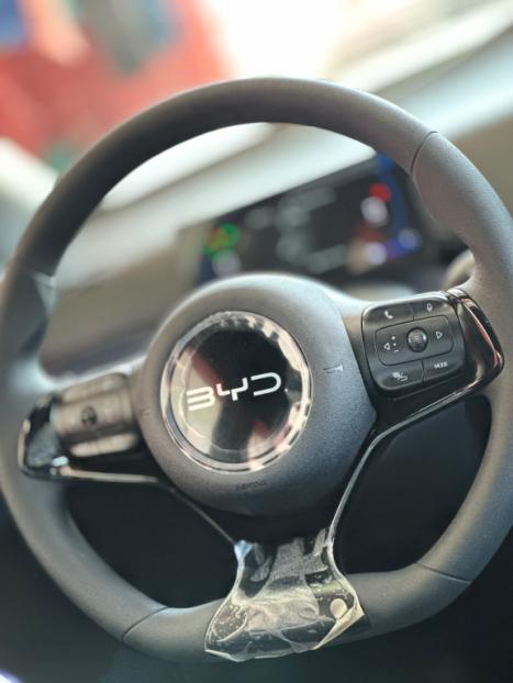 BYD Dolphin Mini 38 KW EL�TRICO GL, Foto 4
