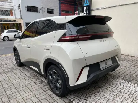 BYD Dolphin Mini 38 KW EL�TRICO GS, Foto 4