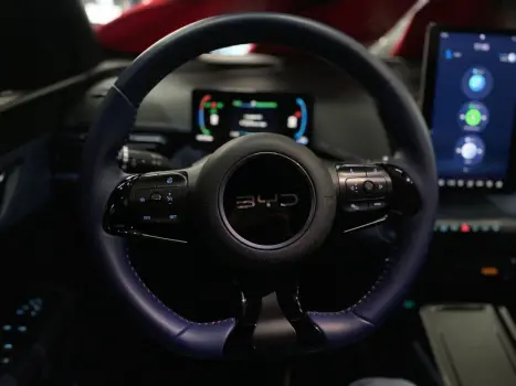BYD Dolphin Mini 38 KW ELTRICO, Foto 12