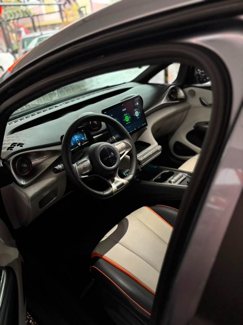 BYD Dolphin - Foto