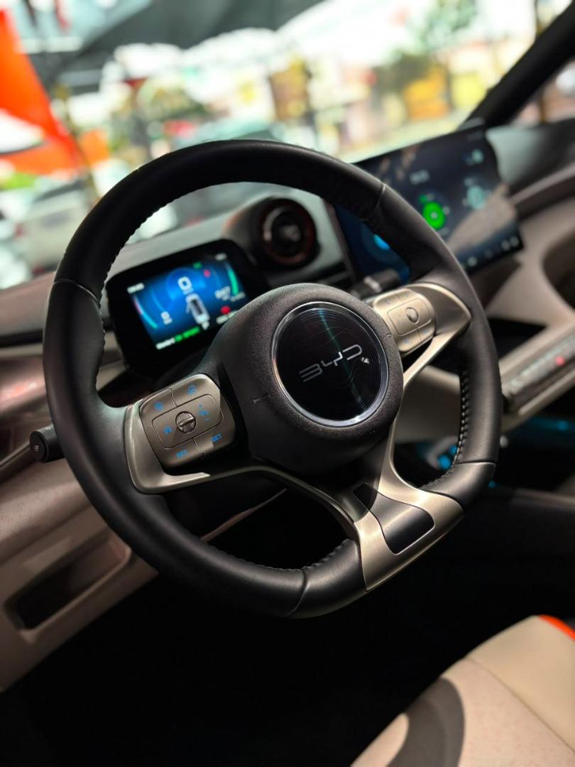 BYD Dolphin - Foto