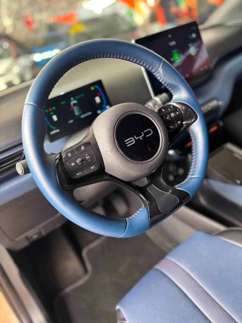 BYD Dolphin Mini - Foto