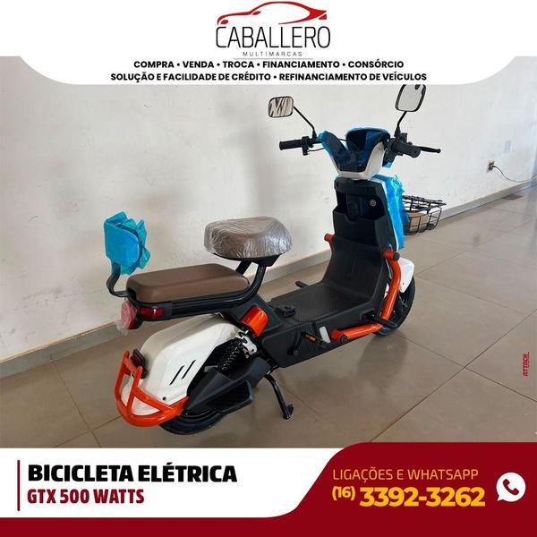 ECO BIKES 350W