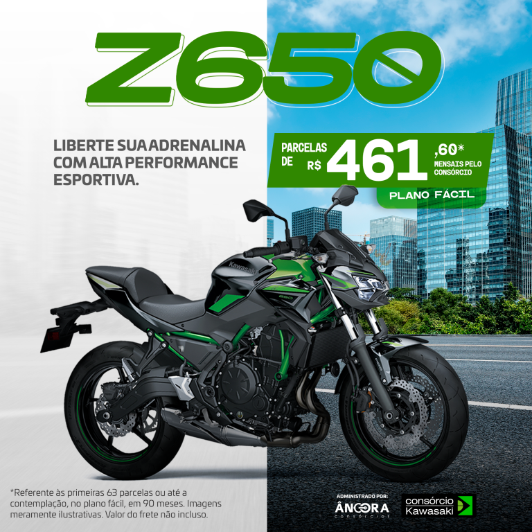 KAWASAKI Z 650