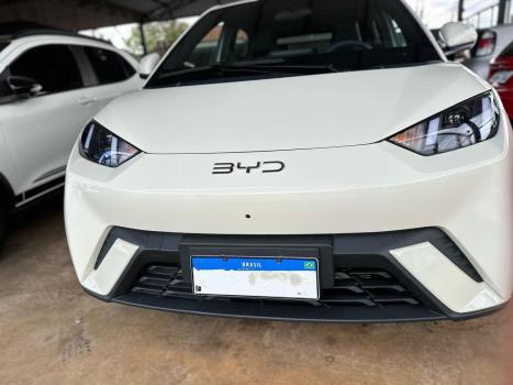 BYD Dolphin 44,9 KW ELTRICO, Foto 2