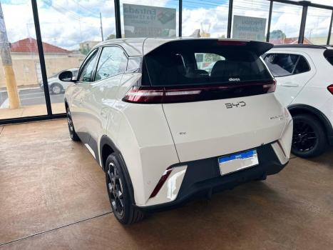 BYD Dolphin 44,9 KW ELTRICO, Foto 6