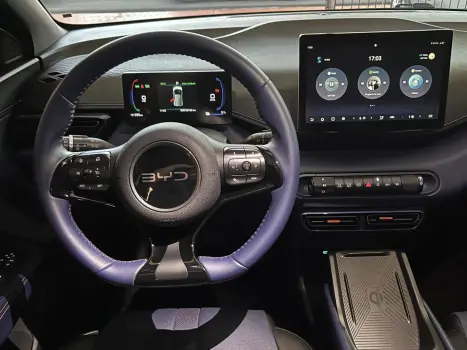 BYD Dolphin Mini 38 KW EL�TRICO, Foto 2