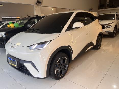 BYD Dolphin Mini 38 KW EL�TRICO, Foto 9
