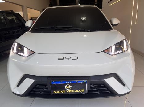 BYD Dolphin Mini 38 KW EL�TRICO, Foto 11