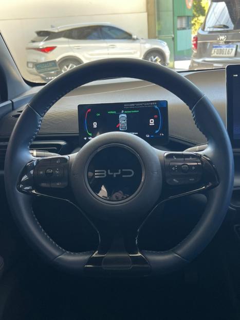 BYD Dolphin Mini 38 KW EL�TRICO, Foto 8