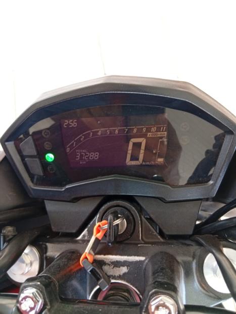 HONDA CB 250 F Twister FLEXONE, Foto 5