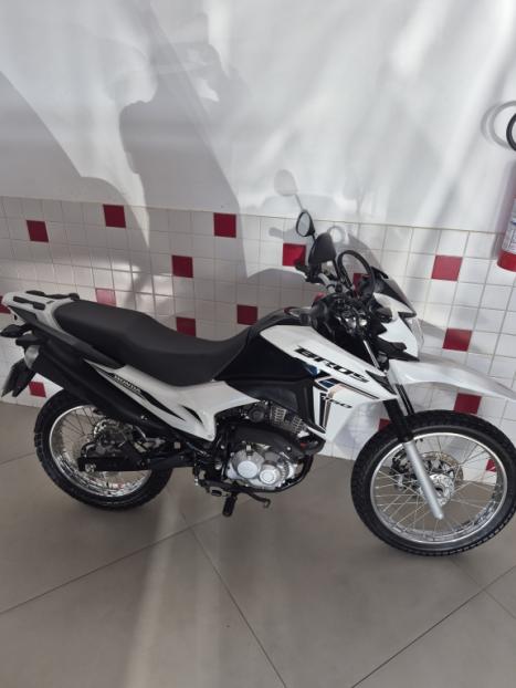 HONDA NXR Bros 160 ESDD, Foto 1