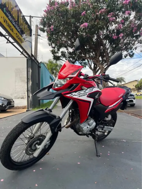 HONDA XRE 300 RALLY ABS, Foto 1