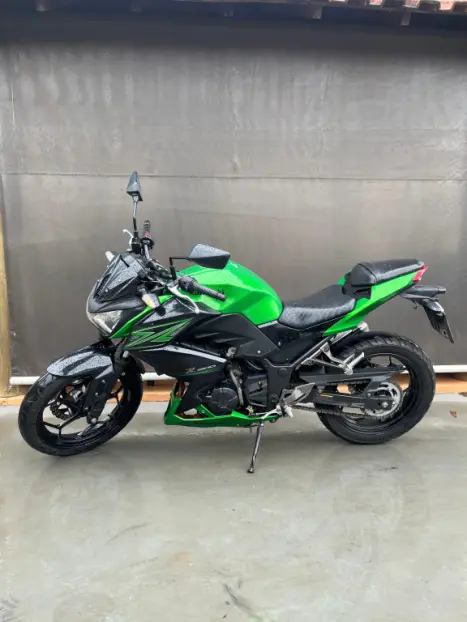 KAWASAKI Z 300 ABS, Foto 1