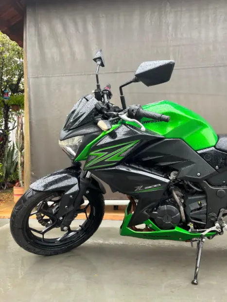 KAWASAKI Z 300 ABS, Foto 2