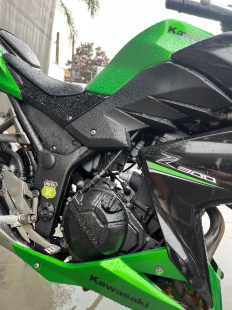 KAWASAKI Z 300 ABS, Foto 4