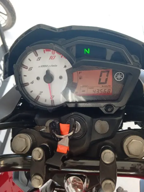 YAMAHA Fazer YS 150 ED, Foto 2