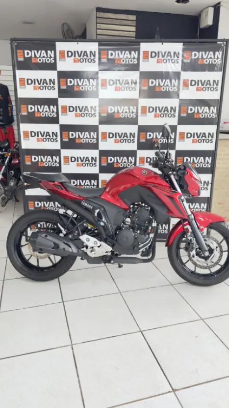 YAMAHA FZ 25 250 Fazer Flex , Foto 5
