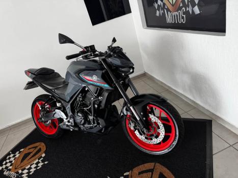 YAMAHA MT-03 300 ABS, Foto 2