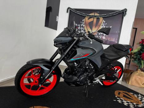 YAMAHA MT-03 300 ABS, Foto 3