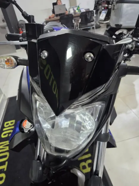 YAMAHA MT-03 300 ABS, Foto 5