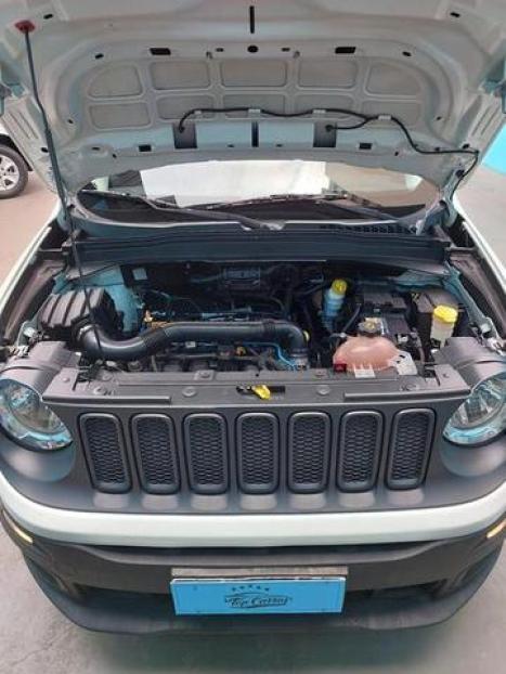 JEEP Renegade 1.8 16V 4P FLEX, Foto 14