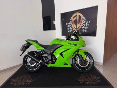 KAWASAKI Ninja 250 R, Foto 1