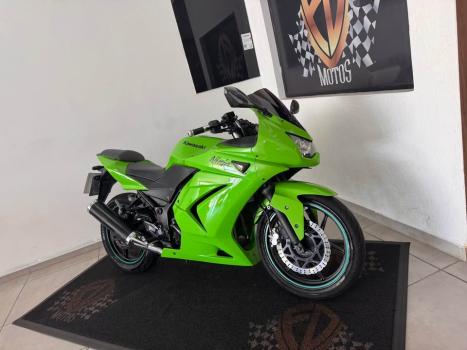 KAWASAKI Ninja 250 R, Foto 2