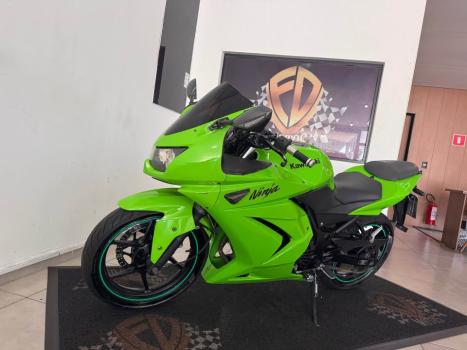 KAWASAKI Ninja 250 R, Foto 3