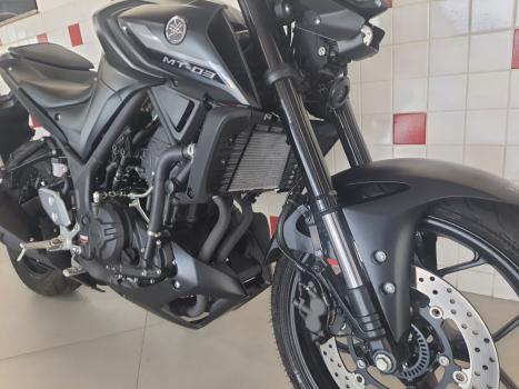 YAMAHA MT-03 300 ABS, Foto 2