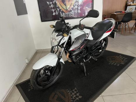 YAMAHA YS Fazer 250 BLUE FLEX, Foto 3