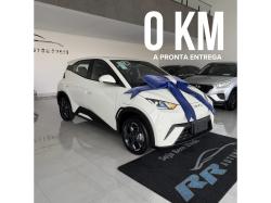 BYD Dolphin Mini 38 KW EL�TRICO GS