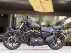 HARLEY DAVIDSON Sportster XL 883 IRON