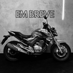 HONDA CB 250 F Twister 