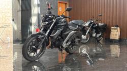 YAMAHA FZ 25 250 Fazer Flex 