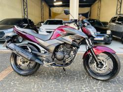 YAMAHA YS Fazer 250 BLUE FLEX