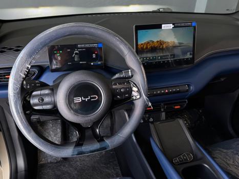 BYD Dolphin 44,9 KW EL�TRICO GS, Foto 9