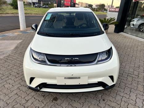 BYD Dolphin 44,9 KW EL�TRICO GS, Foto 2