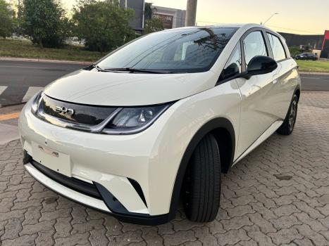 BYD Dolphin 44,9 KW EL�TRICO GS, Foto 3